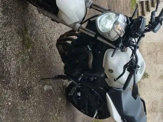 fz6