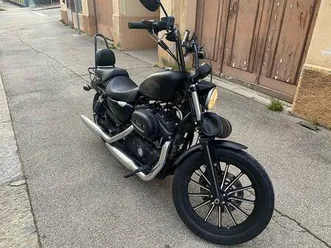 harley-davidson xl883n