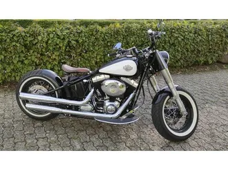 fls softail slim abs