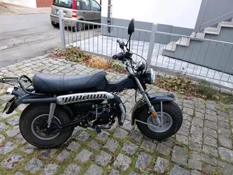 skyteam t-rex st 125 -11