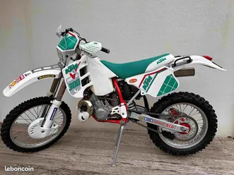 ktm 300 egs