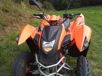 quad adly 320 s