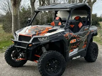 polaris 1000 general