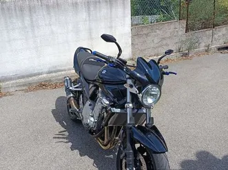 bandit 1250