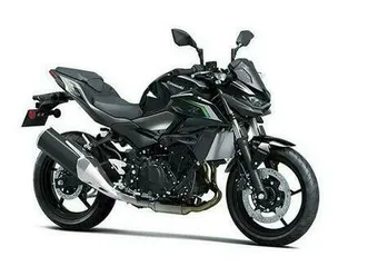 2025 kawasaki z500 abs