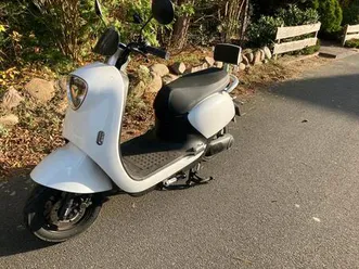 e-roller yadea mick 45 km/h + 2. akku