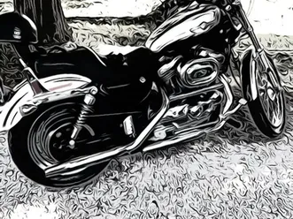 2003 harley-davidson sportster xl1200 custom – 100th anniversary