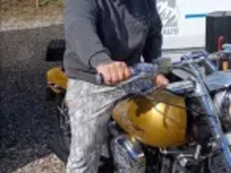 harley-davidson xlx1000 sportster ironhead sportster xlh 1000 cc