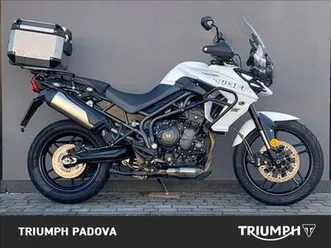 triumph tiger 800 xcx bianco