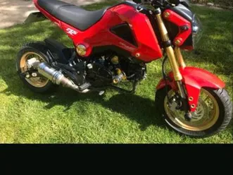 verkaufe top honda msx grom 181 ccm monkey dax