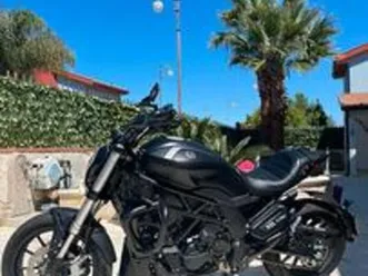 benelli 502 c cruiser