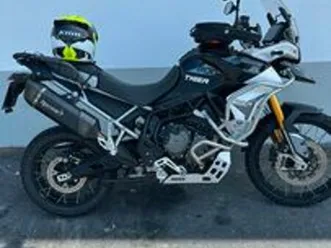 triumph tiger rally pro
