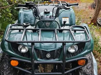 quad yamaha bruin