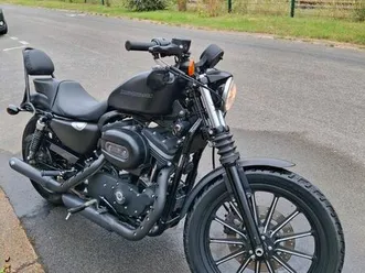 harley davidson 883 iron