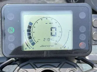 benelli leoncino grigio