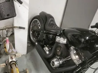 harley davidson softail standard 2021