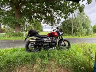triumph street scrambler 900