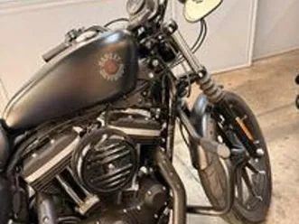 harley davidson 883 iron xl