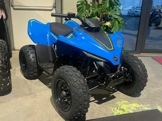 quad enfant cfmoto 110 kids neuf et garantie