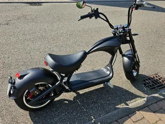 e-chopper xp m1p mangosteen