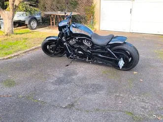 harley davidson vrod