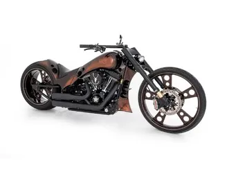 flss softail slim s110 abs