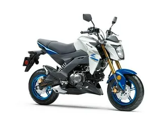 2022 kawasaki z125 pro