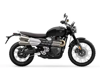 used 2024 triumph scrambler 1200 x