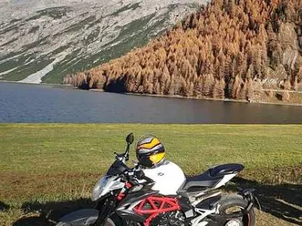mv agusta brutale 800 white perla carbonio bianco