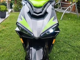 roller gt union stricker 50cm.