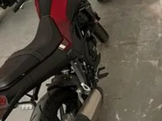 benelli leoncino 250