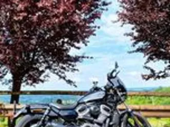 harley-davidson nightster - 2023