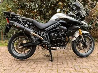 tiger 800