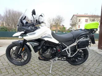 tiger 900 gt pro