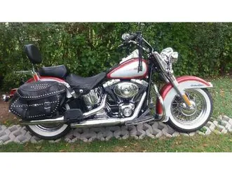 harley-davidson softail