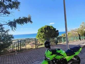 kawasaki z 750 verde