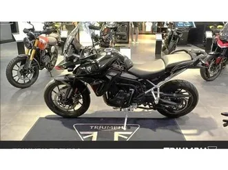 vendo triumph tiger 900 gt pro (2024 - 25) usata a san fior (codice 9878357) - moto.it