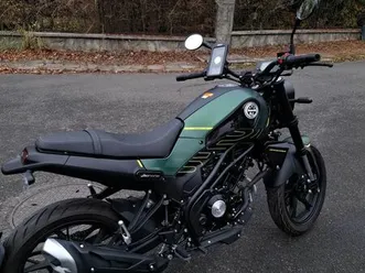 benelli leoncino
