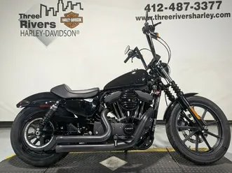 2020 harley-davidson® iron 1200™ vivid black