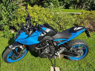 suzuki gsx-8s naked