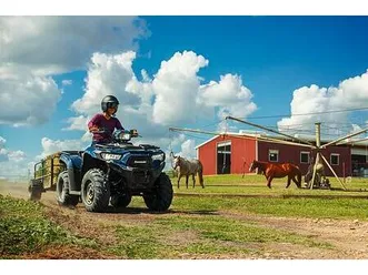 kawasaki brute force 450 t-cat