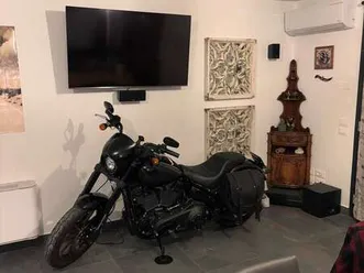 harley-davidson lowrider s softail low rider s