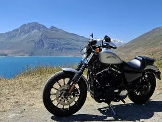 harley-davidson iron 883 argento