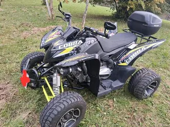 aeon cobra quad