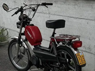 pony gtx canton berne -