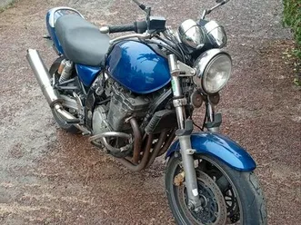 suzuki 1200 inazuma