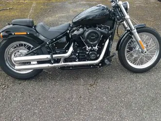 harley davidson softail standard