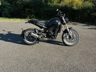 benelli leoncino 500 t 2024