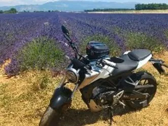 cb125r d'origine, superbe état