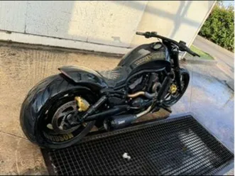 harley davidson vrod